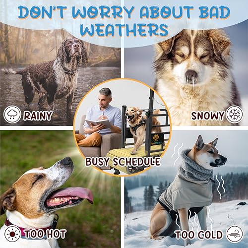 PawPaw's Large & Medium Dog Treadmill - Indoor & Outdoor Use, Up to 220 lbs, Slatmill Design with Brake