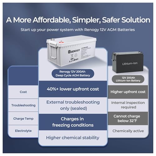 Renogy Deep Cycle AGM 12 Volt 100Ah Battery, 3% Self-Discharge Rate, 1100A Max Discharge Current, Safe Charge Appliances for RV, Camping, Cabin, Marine and Off-Grid System, Maintenance-Free