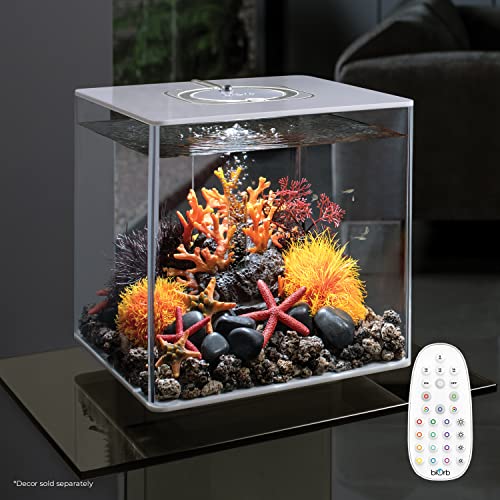 biOrb Cube 30 Acrylic 8-Gallon Aquarium with Multi-Color Remote-Controlled LED Lights Modern Compact Tank for Tabletop Display, Black