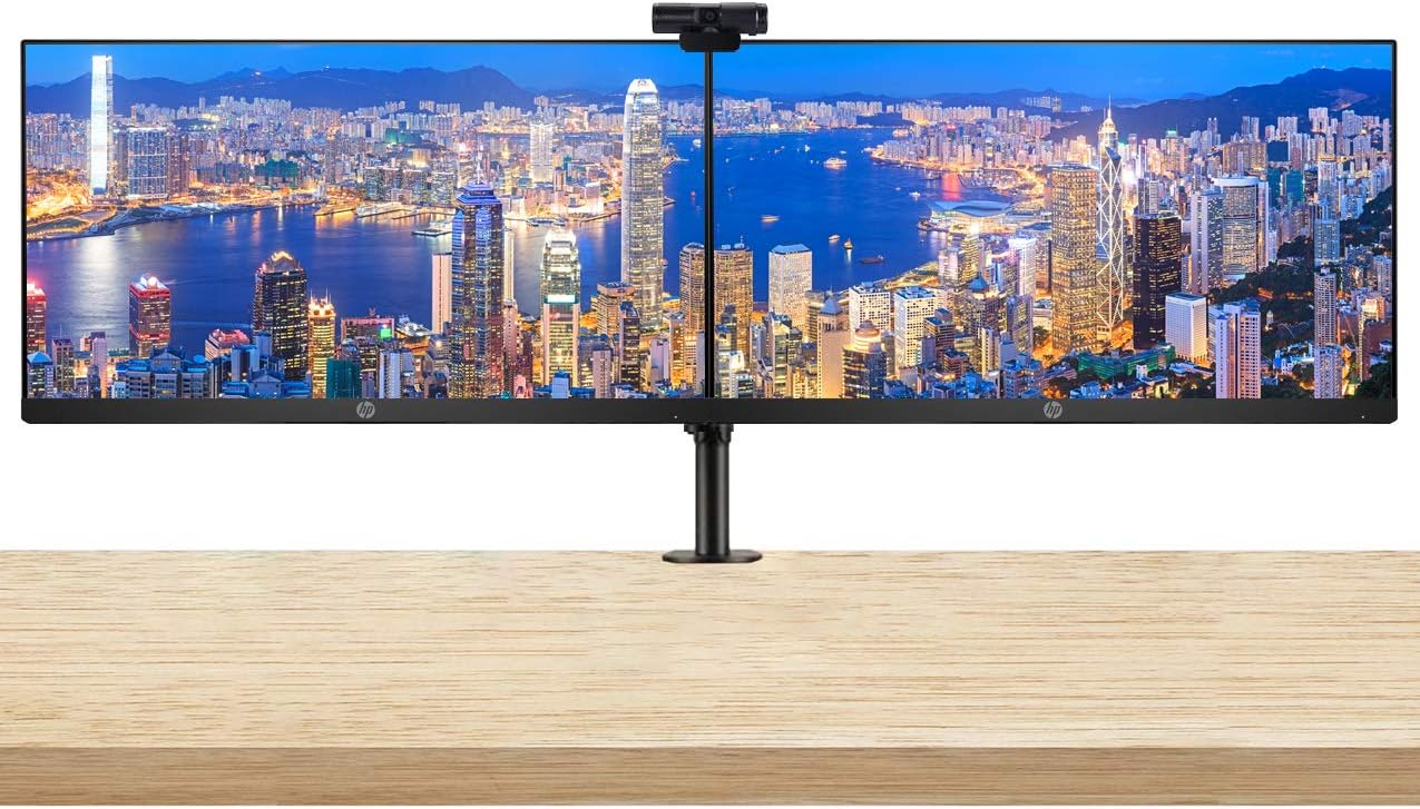 HP P224 21.5 Inch FHD LED-Backlit LCD IPS Anti-Glare Monitor (HDMI, VGA, DisplayPort) 2-Pack Bundle with PW313 Full HD 1080p Live Streamer Webcam and Desk Mount Clamp Dual Monitor Stand