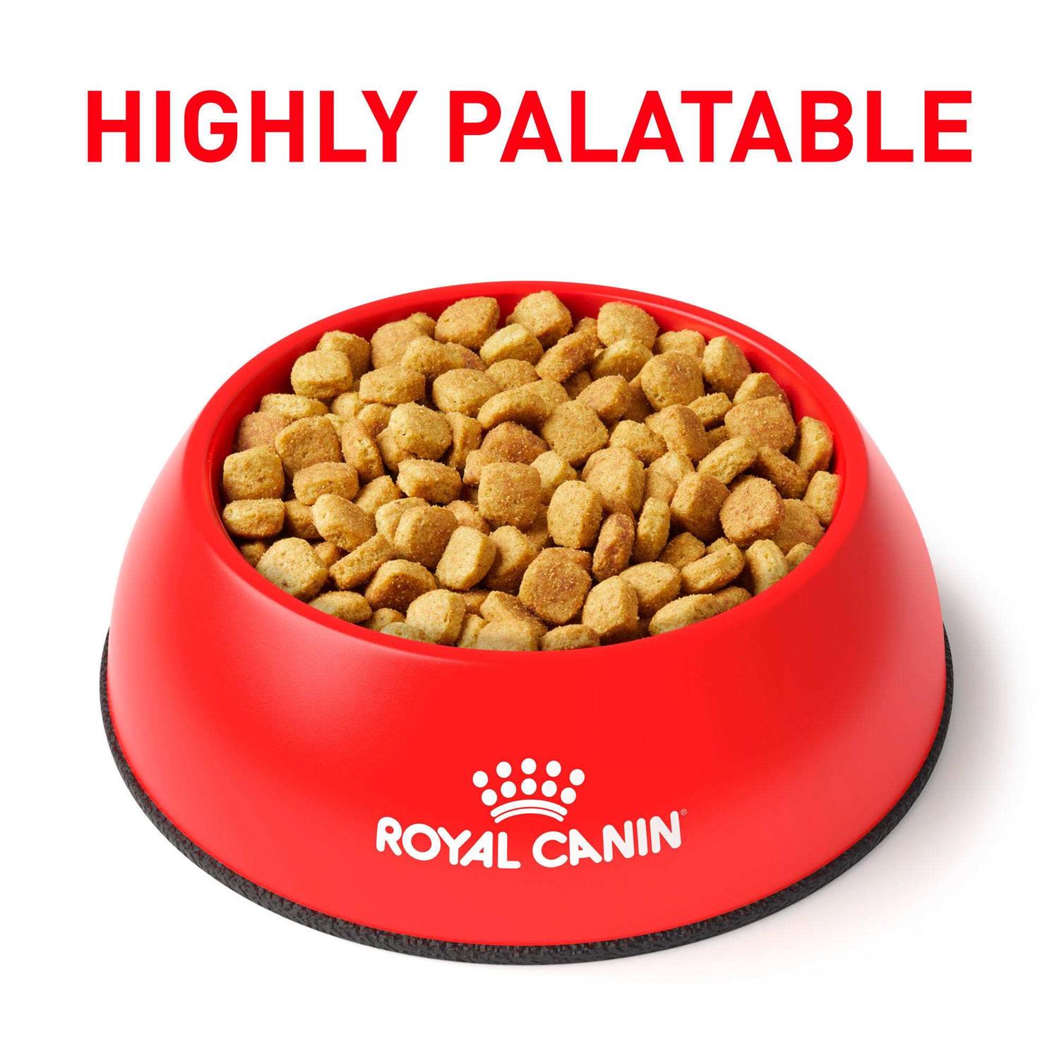 Royal Canin Veterinary Diet Ultamino Dry Dog Food - Pet Supplies online store