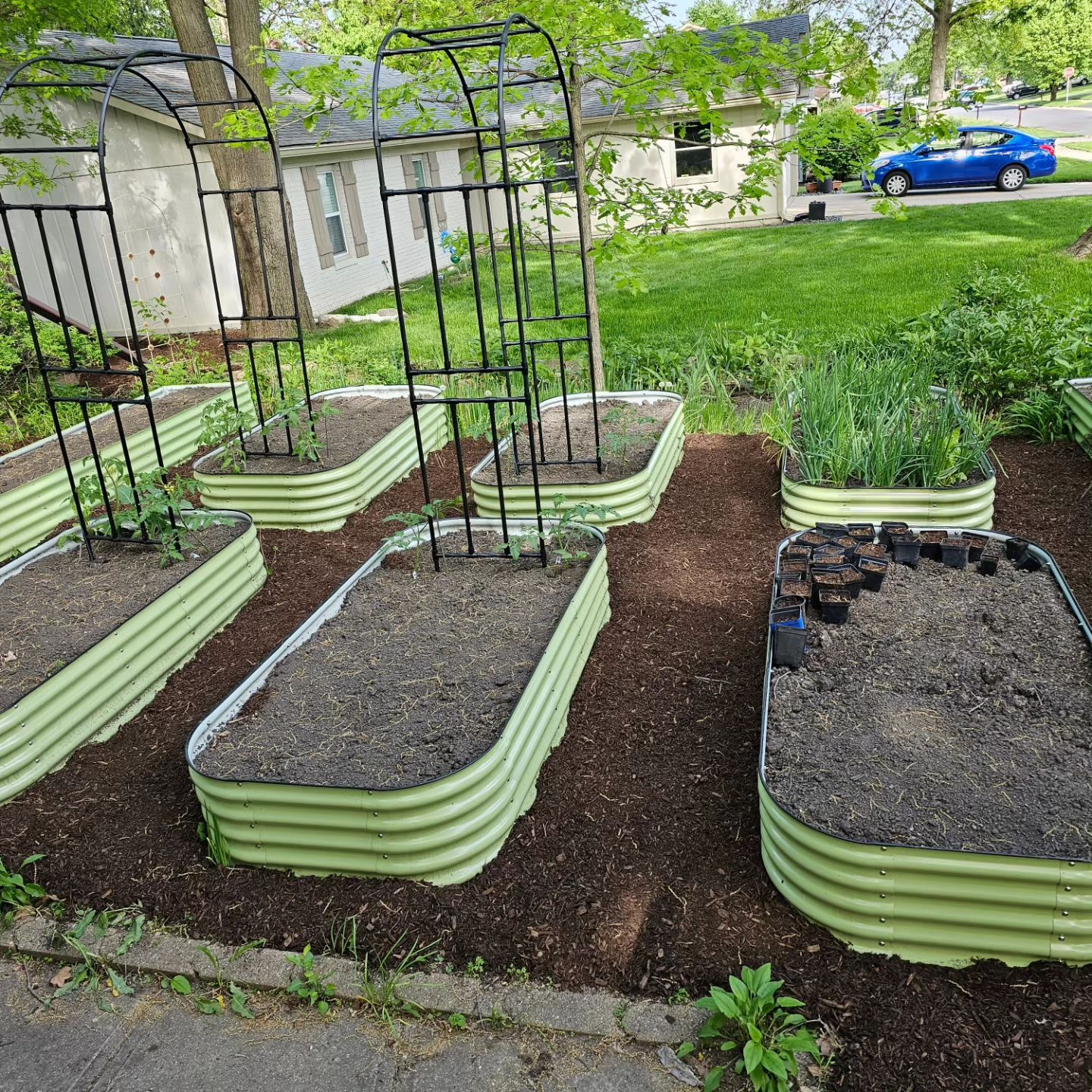 17 Tall, 12-in-1 Metal Raised Garden Bed in Sage Green