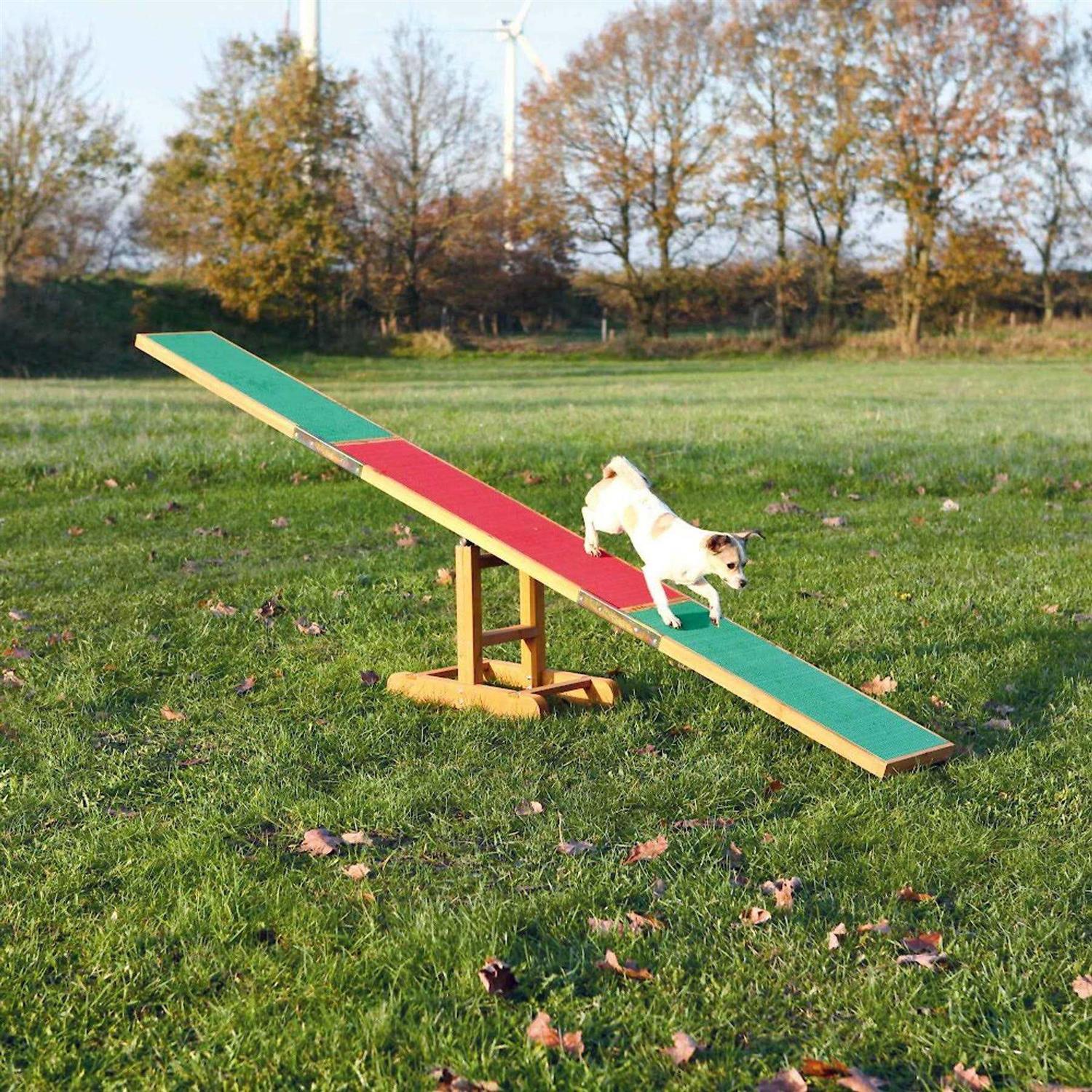 Trixie Agility Dog Training Seesaw - Pet Supplies online store