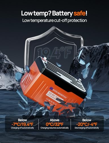 ECO-WORTHY 12V 100AH LiFePO4 Lithium Battery with Bluetooth, Max.1280Wh Energy, Low Temperature Protection, Group 24, Built-in 100A BMS, Perfect for Trolling Motor, RV, Boat, Solar Off-Grid