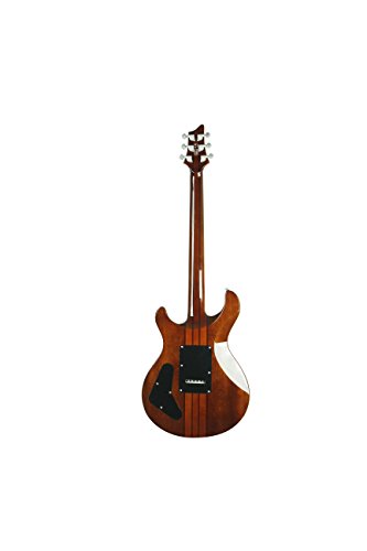 IYV 6 String Acoustic-Electric Guitar, Right, Tobacco Sunburst (IP-300-TSB)