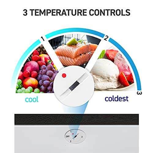 Commercial Cool Foot Upright Freezer