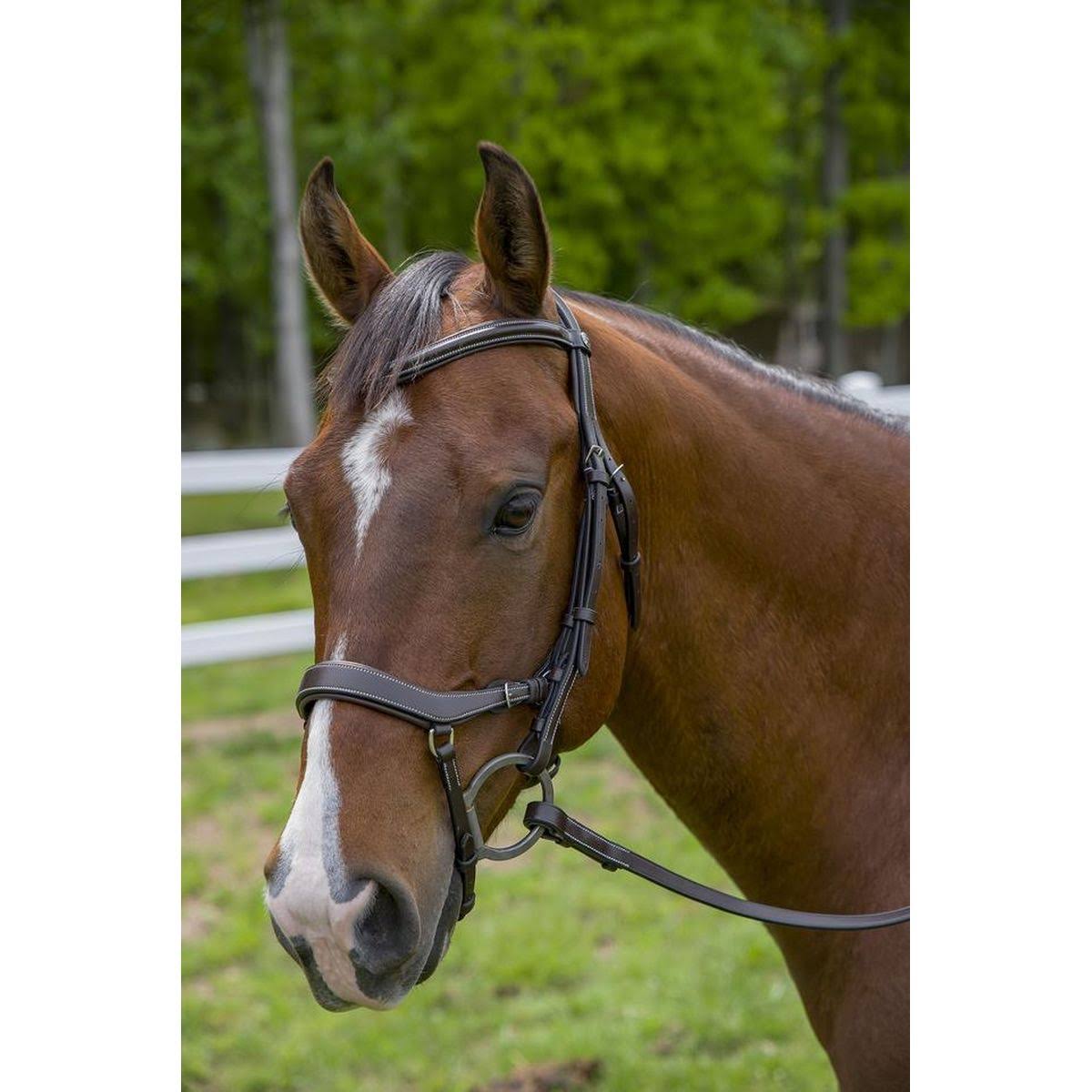 Henri De Rivel Pro Anatomical Bridle