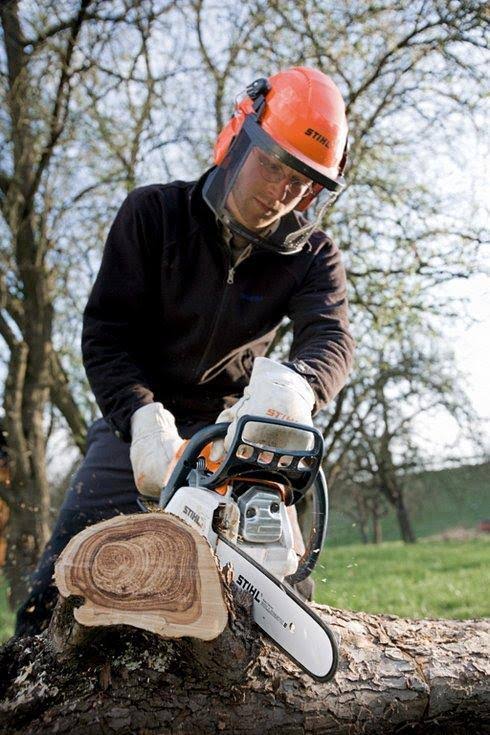 Stihl MS181 14x22 Chainsaw