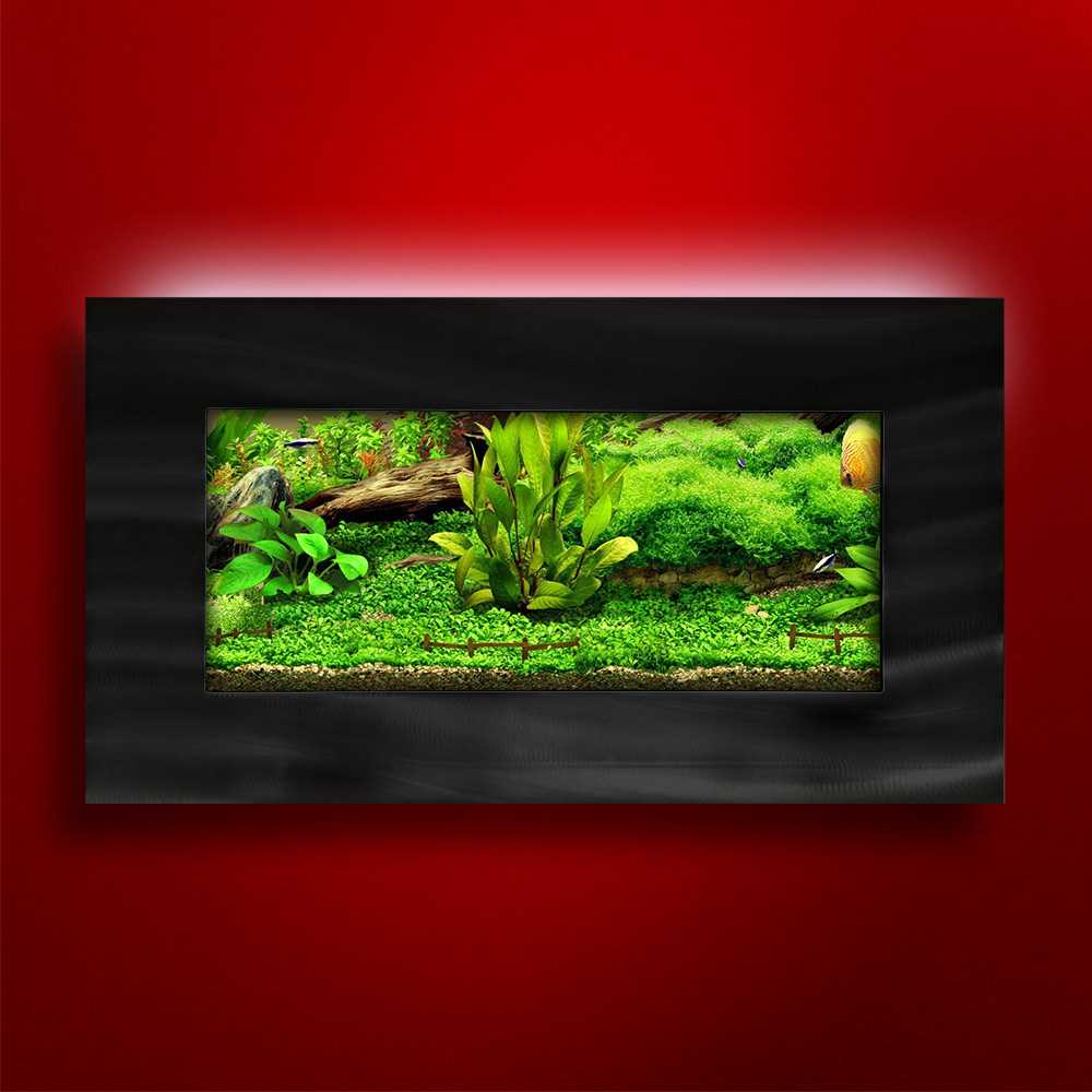 Aussie Aquariums 2.0 Wall Mounted Aquarium - View Brushed Black, Size: Up to 10 Gallons - Pet Supplies online store