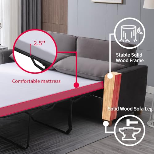 MUZZ Pull Out Sofa Bed, Queen Size Sofa Bed with Foam Mattress, Velvet Pull Out Sleeper Sofa, 2-in-1 Sofa with Pull Out Couch Bed for Living Room, Apartment, Office (Queen, Beige)