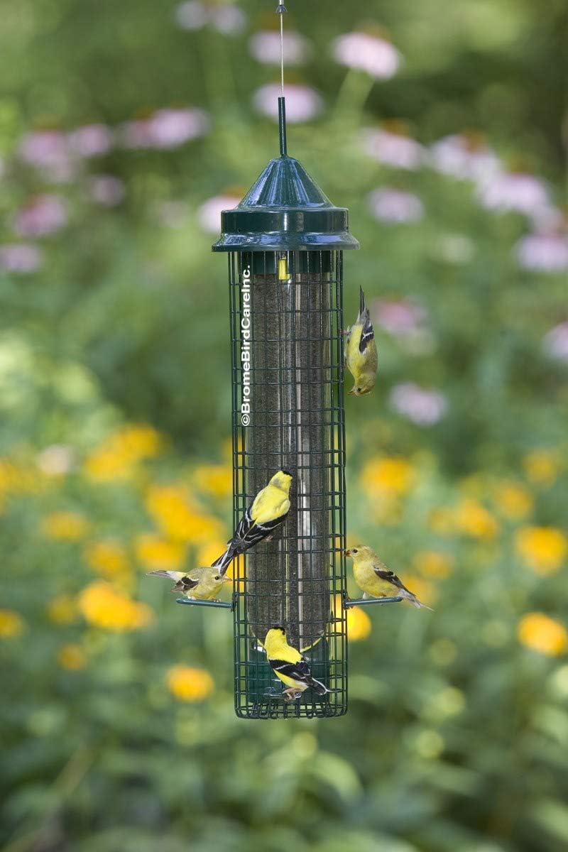 Squirrel Buster Finch Squirrel-proof Bird Feeder w/4 Metal Perches & 8 Feeding Ports, 2.4-pound Thistle/Nyjer Seed Capacity Pack of 2