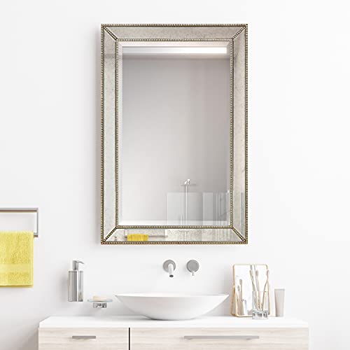 Empire Art Direct Solid Wood Frame Wall, 1"-Beveled Center Antique Mirror for Bathroom, Bedroom, Living Room, Ready to Hang, 24" x 54", Champagne
