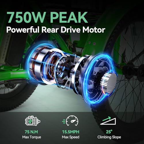 Vivi T01 20" x2.6 Fat Tire Electric Tricycle for Adults, 750W Peak 20'' Folding 3 Wheels Electric Bike, 95% Pre-Assembled, Speed Differential, 15.5MPH Eletric Trike with Bracket