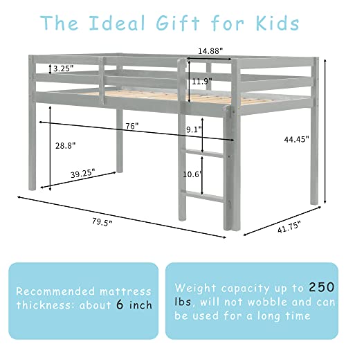 Tmosi Low Loft Bed Twin,Solid Wood Kids Twin Bed Frame with Ladders and Guard Rails,Space Saving Twin Size Loft Bed for Girl Boy,No Box Spring Needed,Easy to Assembly (Built-in Ladder-Grey)
