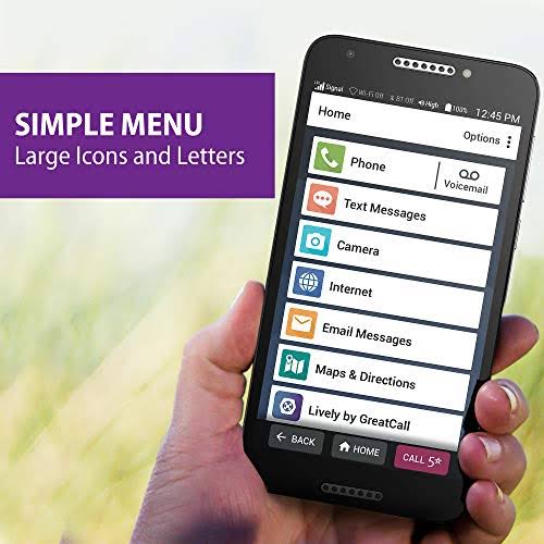 Jitterbug Smart SMART2 - 16 GB - Black - GreatCall - CDMA