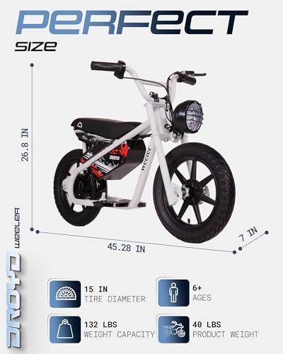 Droyd Weeler Electric Mini Bike for Kids, 200W Motor w 2 Speed Settings (10 Mph & 6 Mph), 24V 8Ah Battery for 8 Miles Range, Rear Disc Brake, and 15" Tires, Safe & Fun E Bike for Ages 6+