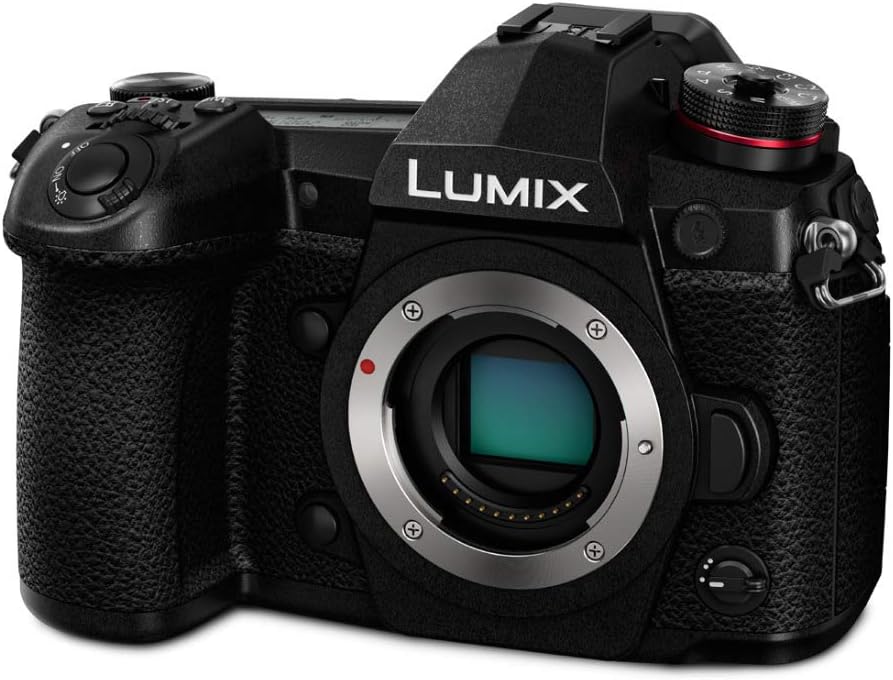 Panasonic Lumix Mirrorless Micro 4/3 Digital Camera (Body)-&-Accessory-Kit
