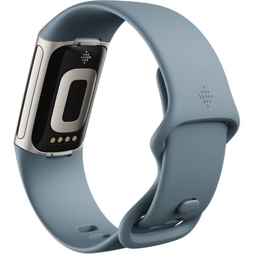 Fitbit Charge 5 Steel Blue/Platinum