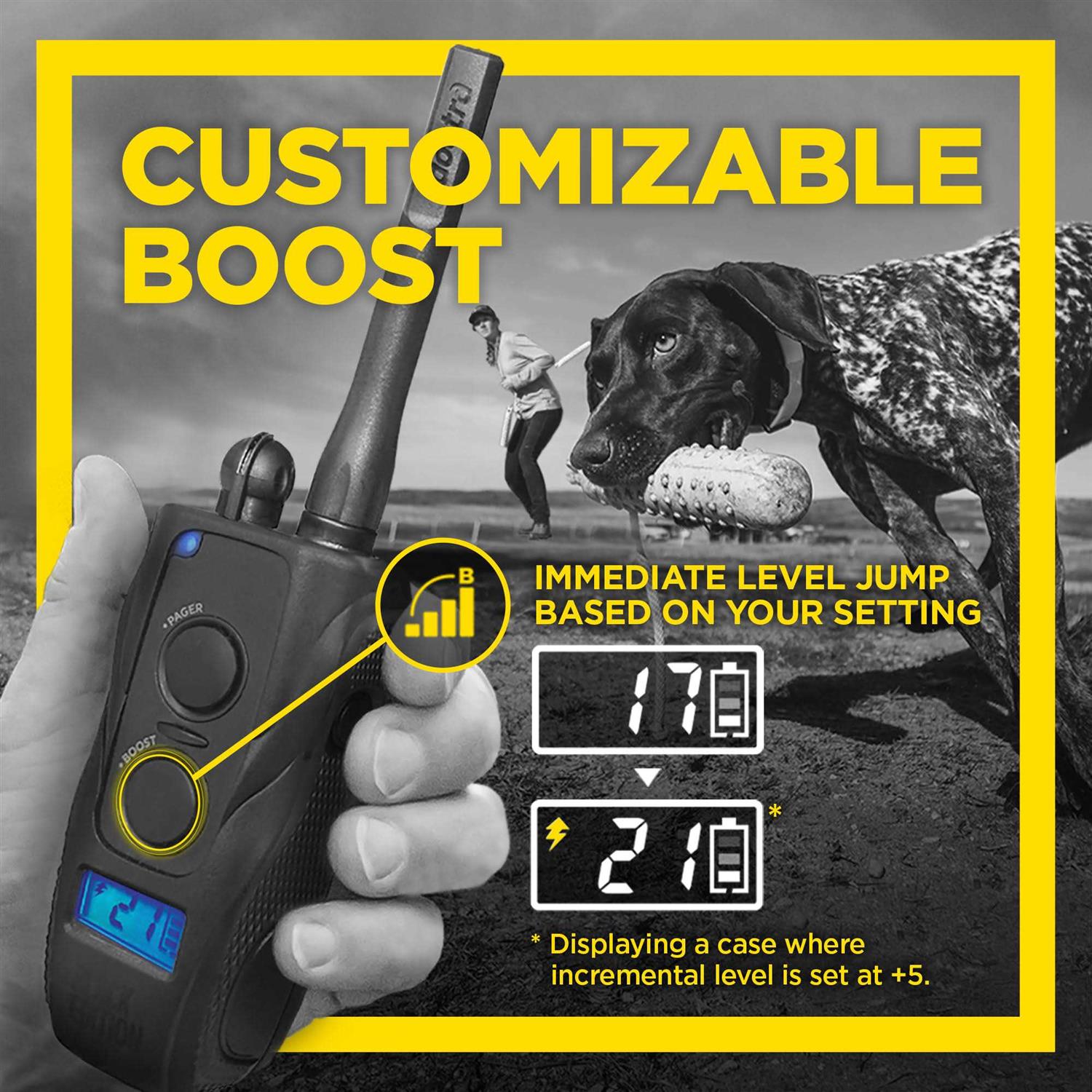 Dogtra 1900S Black Edition 1 Mile Remote Trainer - Pet Supplies online store