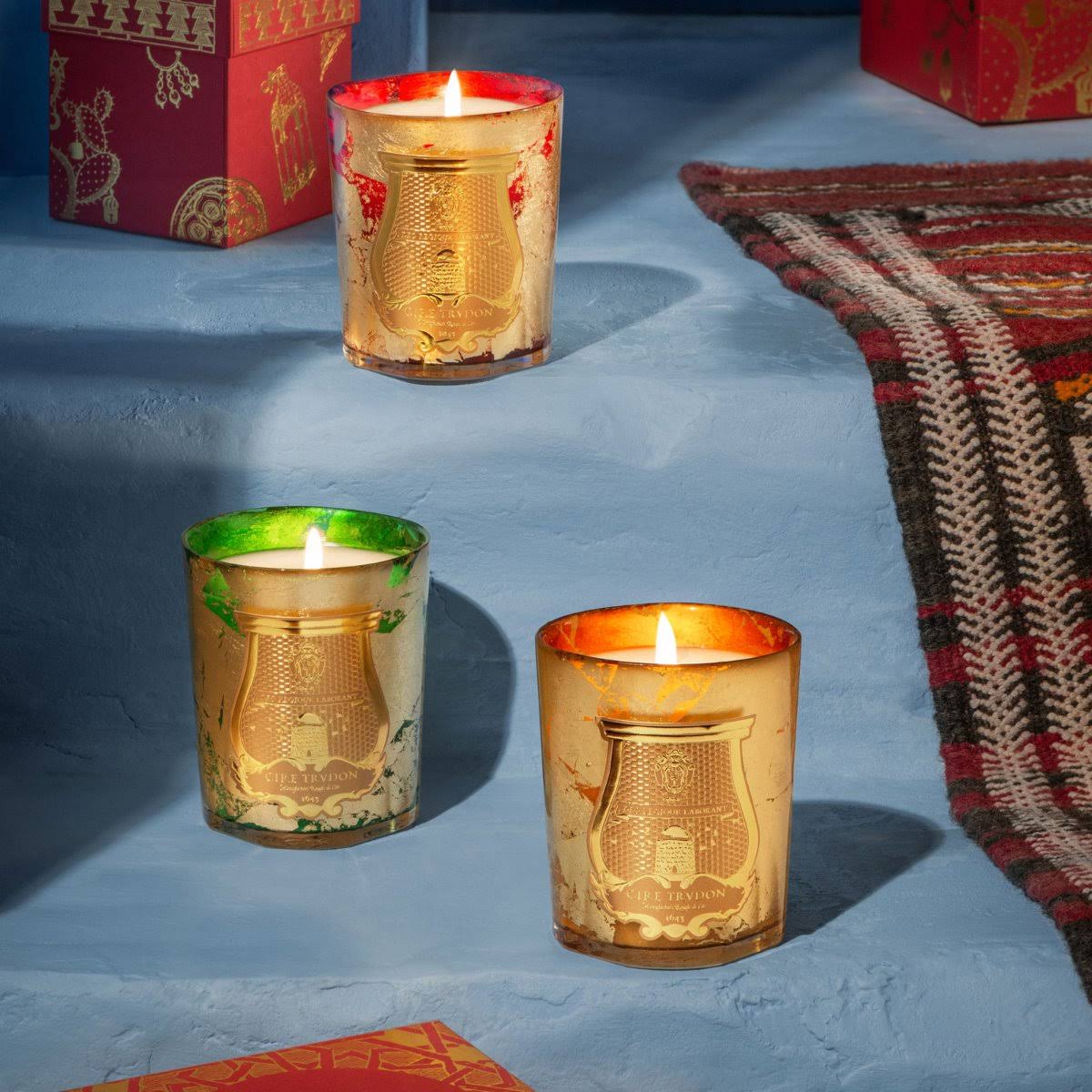 Cire Trudon Ernesto Scented Classic Candle 270g