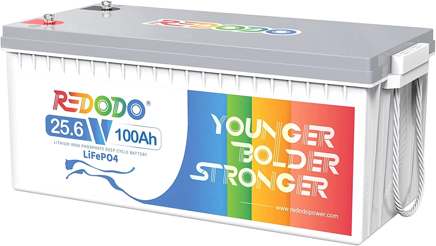 Redodo 24V 100Ah LiFePO4 Lithium Battery Max. 2560W Power Output Built in 100A BMS for RV, Trolling Motor, Solar off-Grid System, Marine