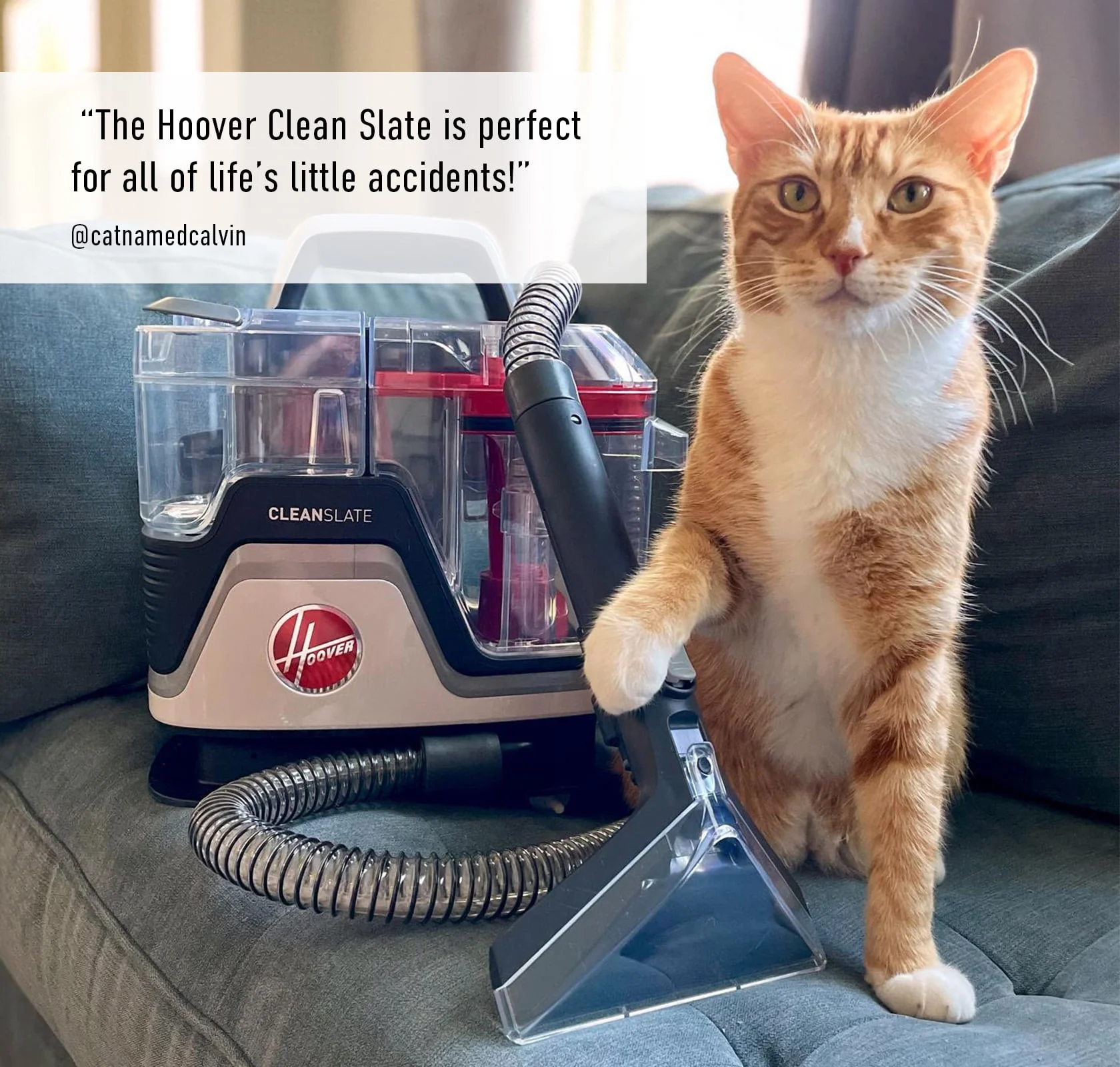 Hoover CleanSlate Portable Carpet and Upholstery Pet Spot Cleaner, FH14010, 1 Count, New