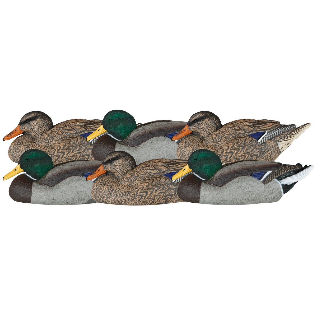 Dakota Decoys X-Treme Mallard Rester Duck Decoys with Flocked Heads