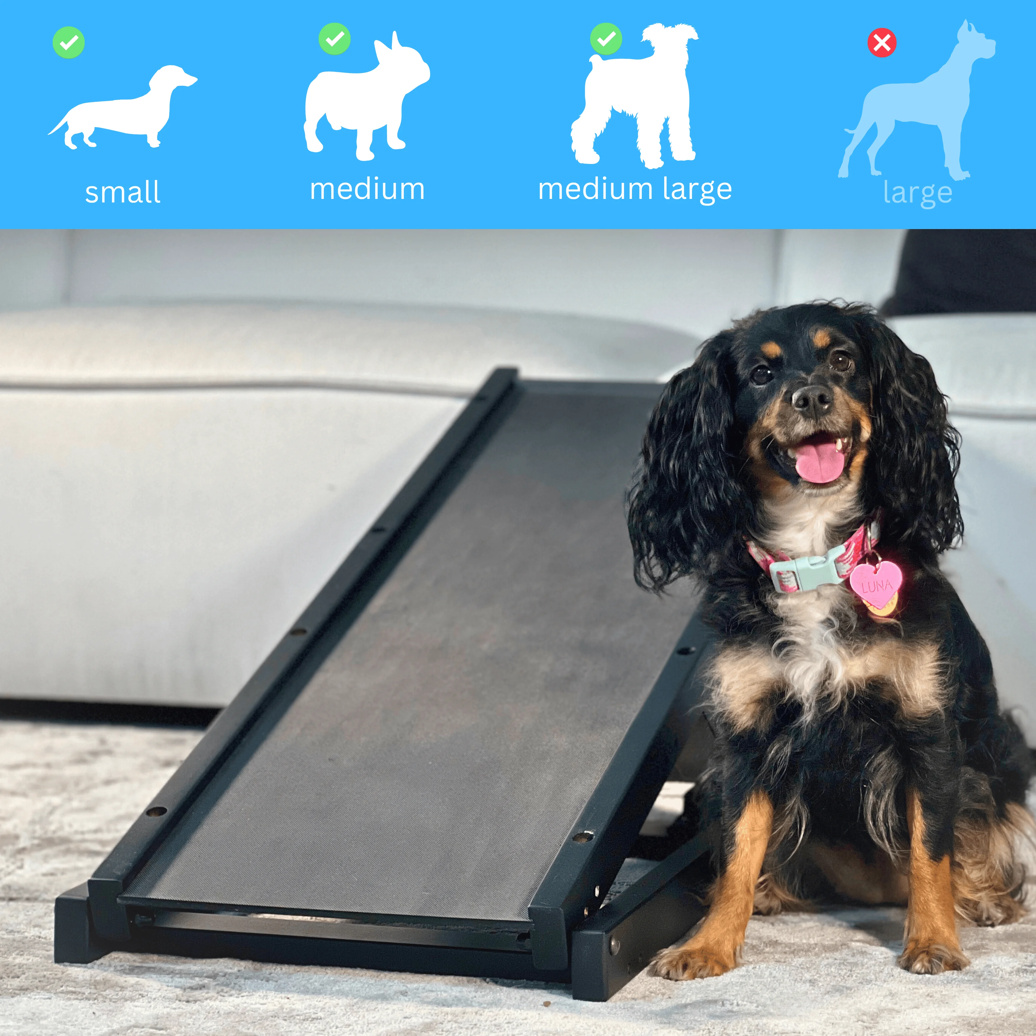 Dog Ramp for Couch - Adjustable 10" to 20" - Ramp for Dogs to Get On Bed - Pet Safe Paw Grip Anti Slip Doggie Puppy Stairs Small/Medium/Old Cats - Portable Car Steps - Ramps Small Dogs 80 lbs Max