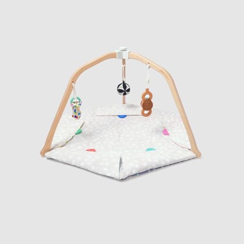LOVEVERY | The Play Gym | Award Winning For Baby , Stage-Based Developmental Activity Gym & Play Mat for Baby to Toddler