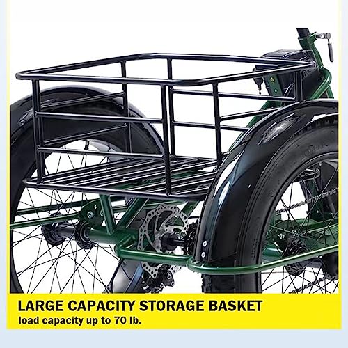 Electric Trike Adults, 380lbs, 24-20" Fat Tire 3 Wheel Electric Bicycle, 750W 48V 15Ah Removable Battery, Electric Tricycle 350lbs for Seniors