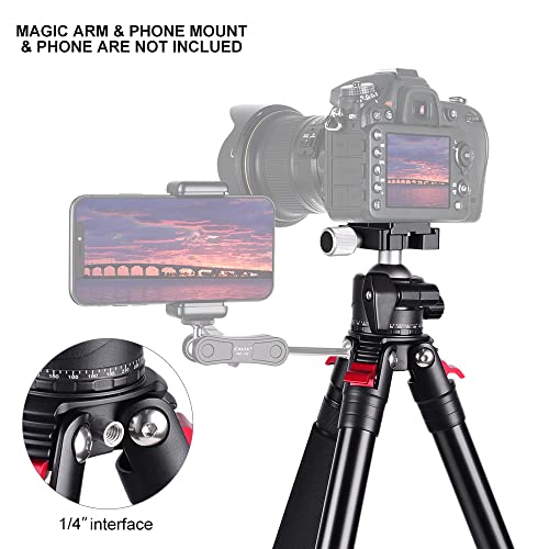 Carbon Fiber Tripod,Lightweight Portable Travel Tripod with Low Profile Ball Head with 1/4" Quick Release Plate Compatible with Camera Max Load 22lbs…