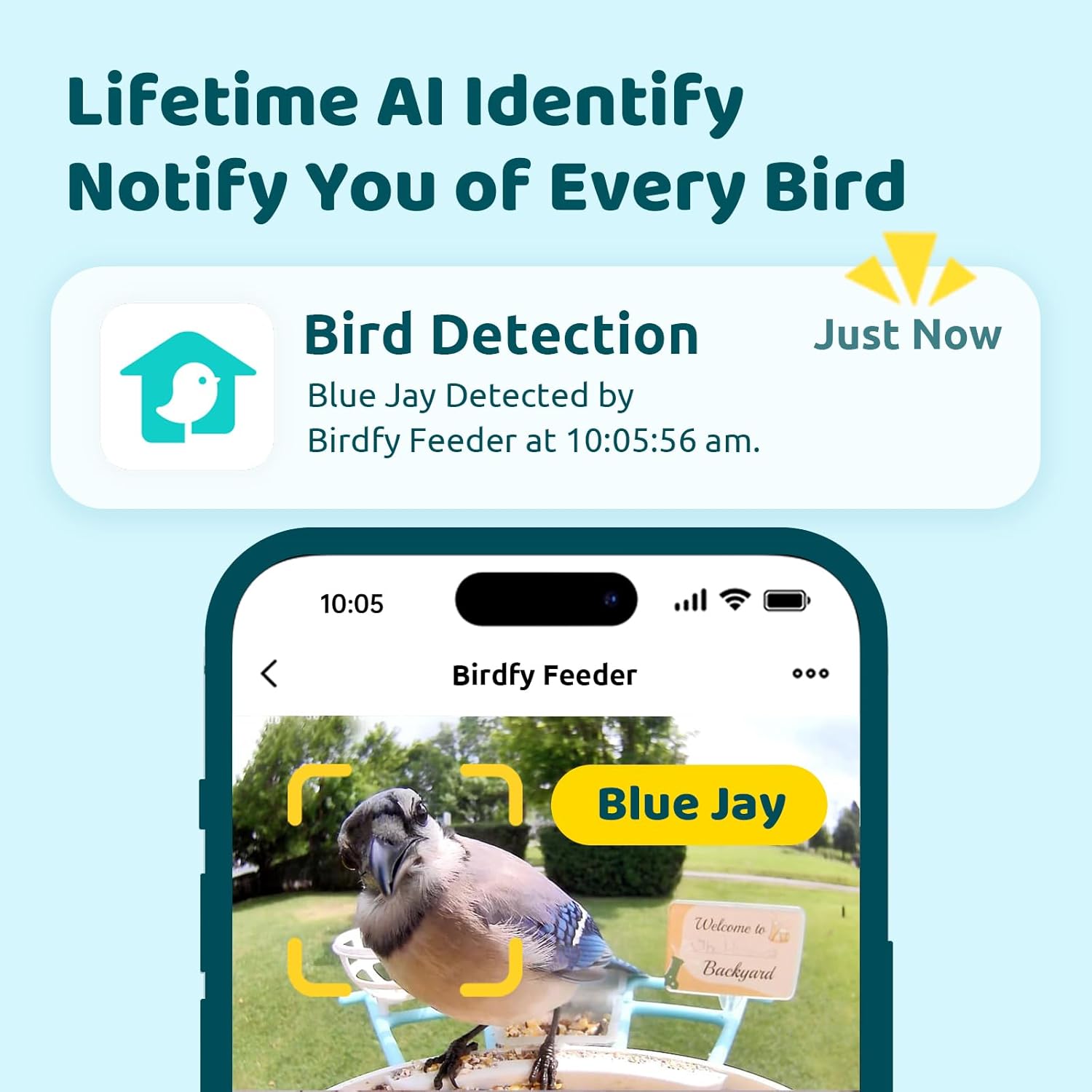 NETVUE Birdfy AI Smart Bird Feeder with Camera + Solar Panel