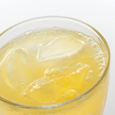 Drinkmate Sparkling Water and Soda Maker, Carbonates Any Drink, Includes One 1L