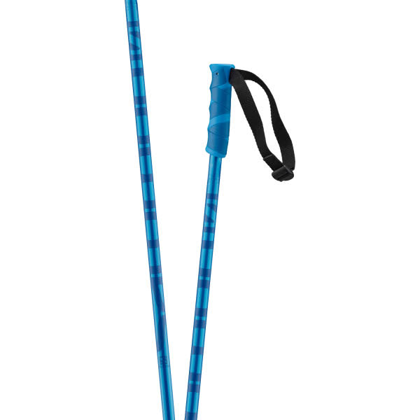 Salomon Hacker Ski Poles