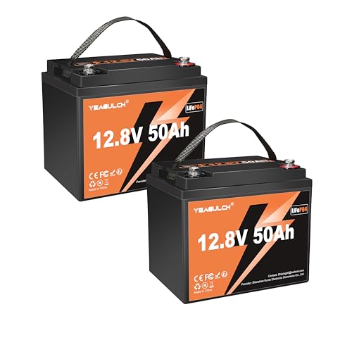 12V 300Ah LiFePO4 Lithium Battery, Built-in 200A BMS with 6000+ Deep Cycles Rechargeable 3840Wh Lithium Battery for RV Solar Marine Solar Panel Camping