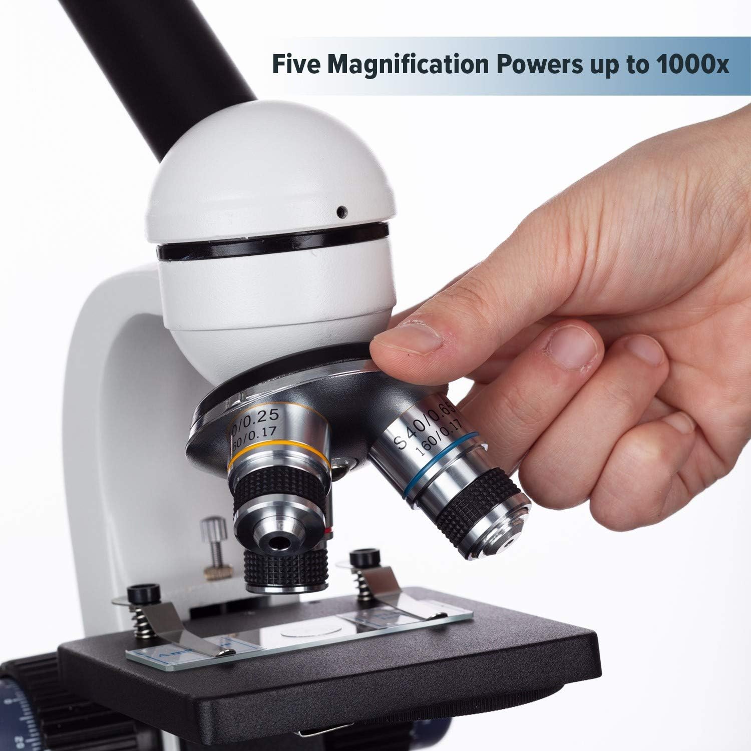 AmScope M150C-I 40X-1000X All-Metal Optical Glass Lenses Cordless LED Student Biological Compound Microscope Pack of 2