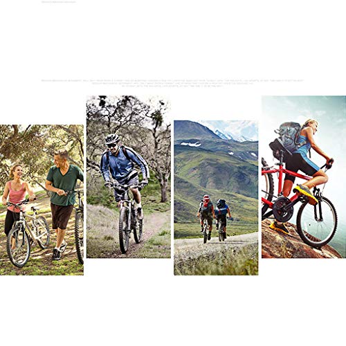 MTB Frosted Rigid Forks,Ultralight Aluminum Alloy 26/29inch Fork Bicycle Accessories for Support Hydraulic Disc Brake
