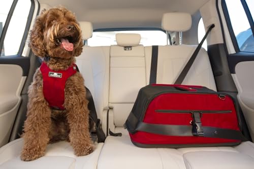 Sleepypod Air - American Red Cross Edition Airline Approved Pet Carrier and Crash-Tested Car Seat for Cats and Dogs up to 18 lbs (Strawberry Red)