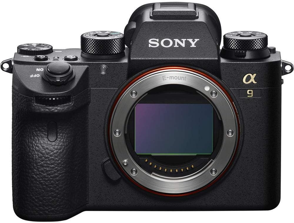 Sony Alpha a9 Mirrorless Digital Camera (Body Only) (ILCE9/B) + Sony FE 100-400mm Lens + 64GB Memory Card + NP-FZ-100 Battery + Corel Photo Software + Case + Card Reader + More (Renewed)