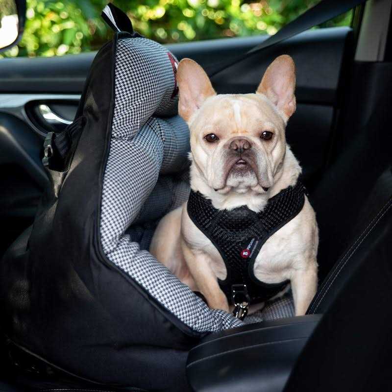 PupSaver Dog Car Seats for Small and Medium Dogs Travel Booster Pet Seat |Crash-Tested Dog Bed for Cars - Pet Supplies online store