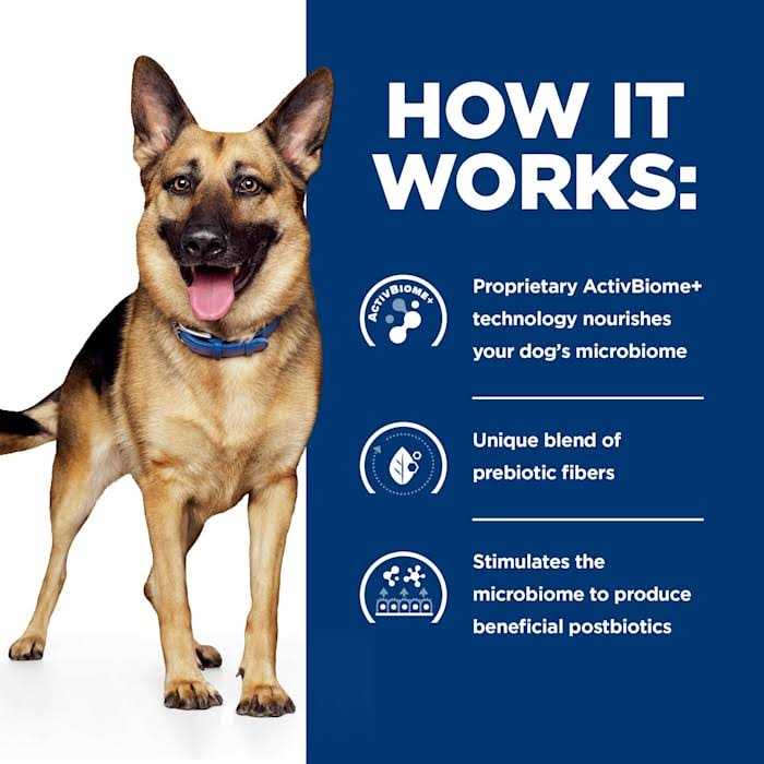 Hill's Prescription Diet Gastrointestinal Biome Digestive/Fiber Care Chicken &amp; Vegetable Stew Wet Dog Food - Pet Supplies online store