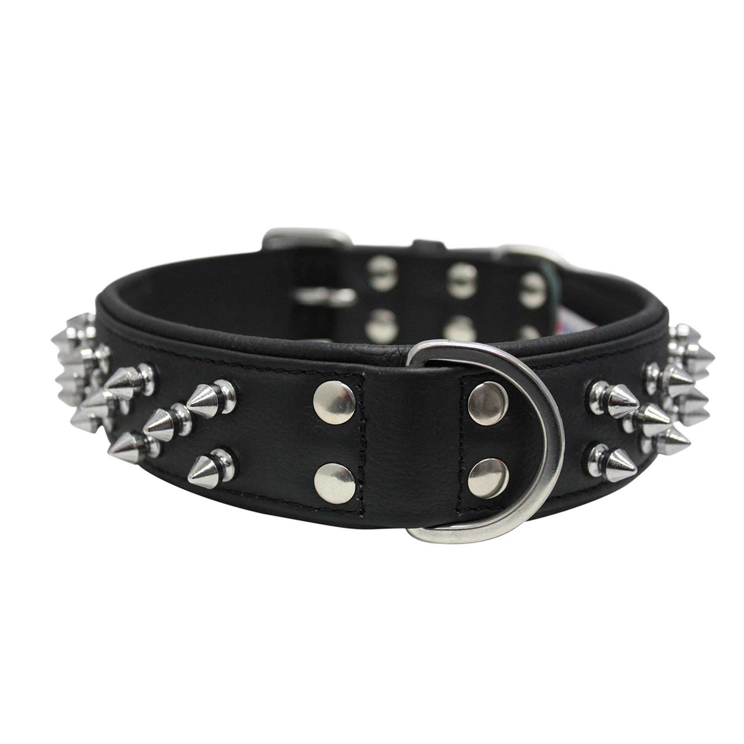Amsterdam Dog Collar Spiked - Pet Supplies online store
