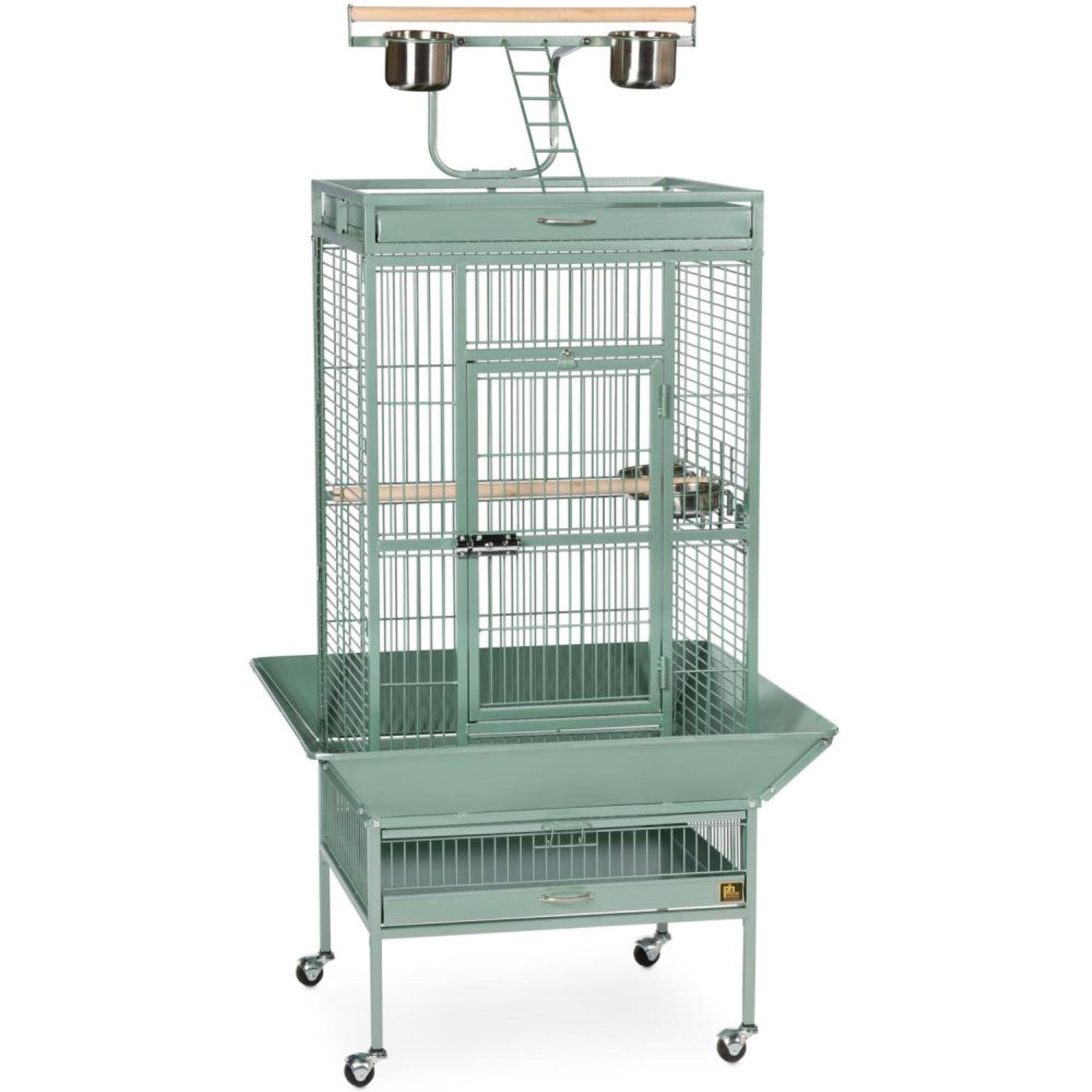 Prevue Wrought Iron Select Bird Cage, Sage Green, M