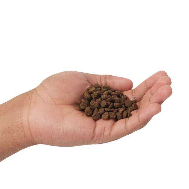 Farmina N&amp;D Prime Grain Free Cat Dry Food Lamb &amp; Blueberry - Pet Supplies online store