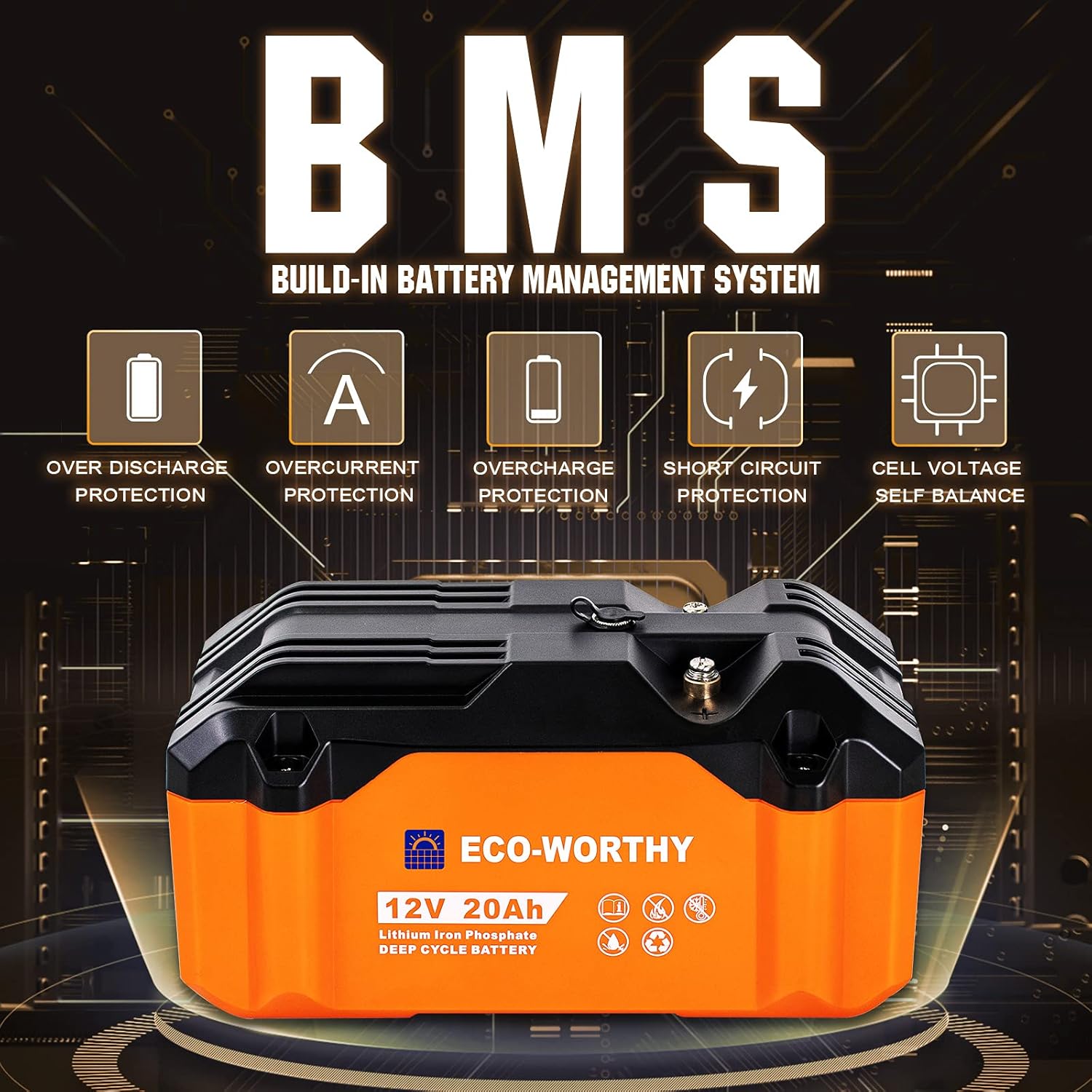 ECO-WORTHY Portable 12V Lithium Battery, 20Ah LiFePO4 Deep Cycle Rechargeable Battery, Built-in BMS, 4000+ Cycles,Perfect for Outdoor Camping Fishing RV Marine Trolling Motor Fishfinder Hamradio