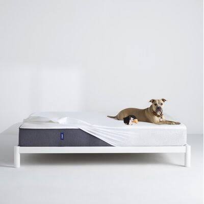 Casper Mattress Protector Size: Queen