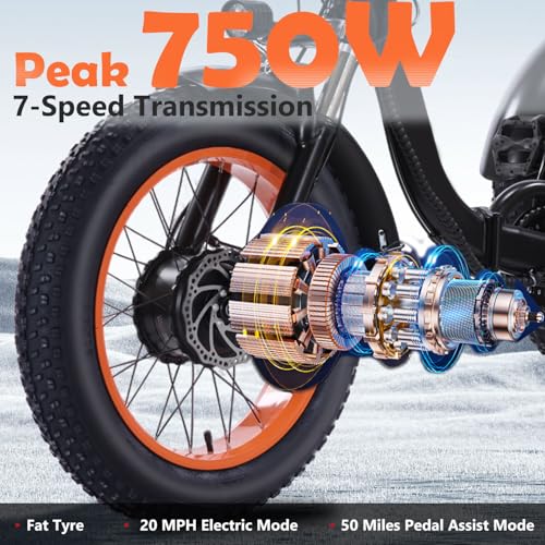Electric Tricycle for Adults, Peak 750W/500W, Electric Trike, 20"x4.0" Folding Fat Tire 3 Wheel Electric Trike, Max 20MPH,with Large Basket and 48V 15/13 Ah Removable Battery