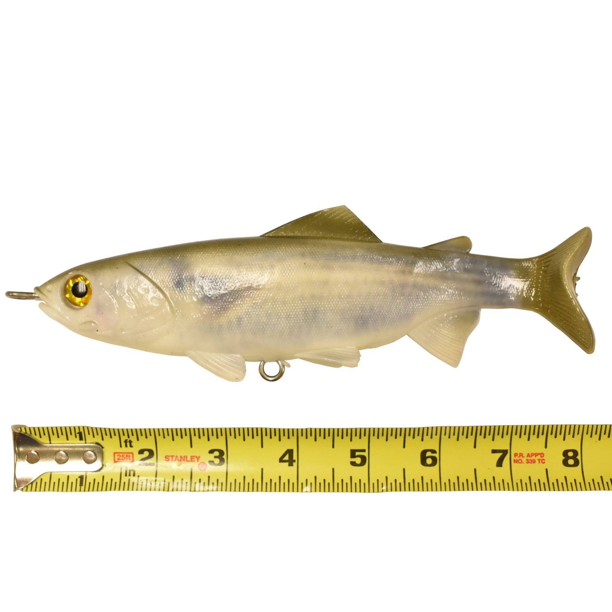 Mullet Double Dredge Teaser - 8 in. Lifelike Fish (19)