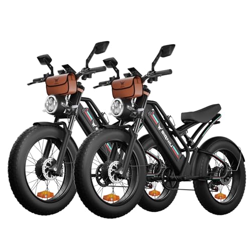 Electric Bike,2000W Dual Brushless Motor, 48V/22.4Ah Removeable Battery Ebike,Front/Rear Turn Signal,Rearview Mirror and 7 Gear Electric Bicycle