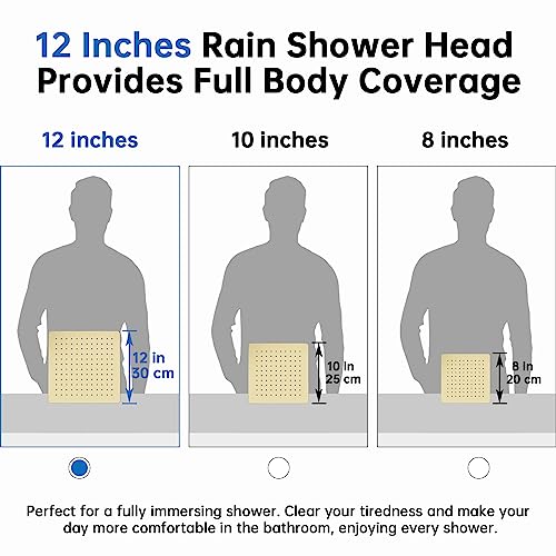 G-Promise All Metal 12 Inch Rainfall Shower Head with Handheld Spray Combo| 3 Settings Diverter|Adjustable Extension Arm with Lock Joints |71 Inches Stainless Steel Hose (Oil Rubbed Bronze)